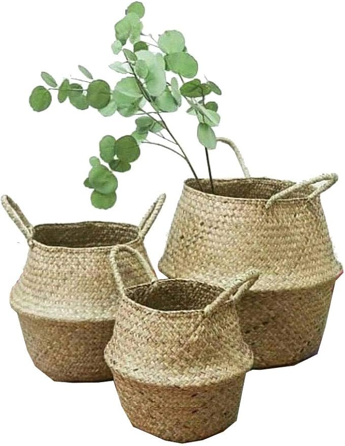 Cestini portavasi