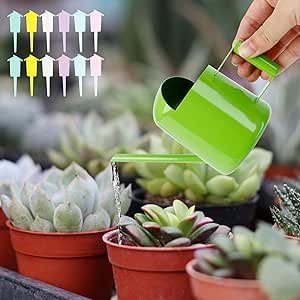 Mini annaffiatoio per Cactus