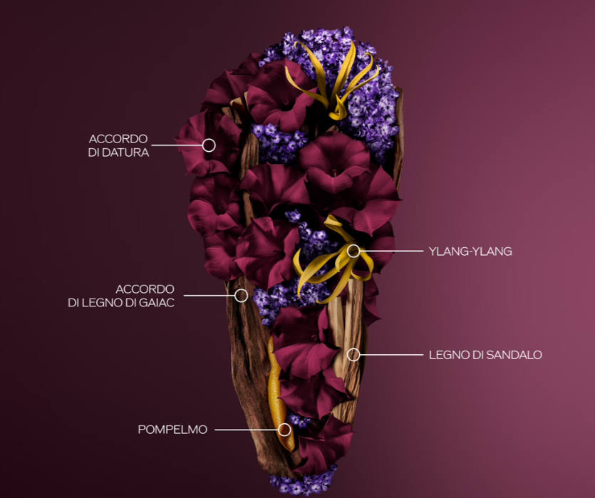 immaginedi agglomerato di fiori rappresentativa della piramide olfattiva del profumo Shiseido Ginza Datura