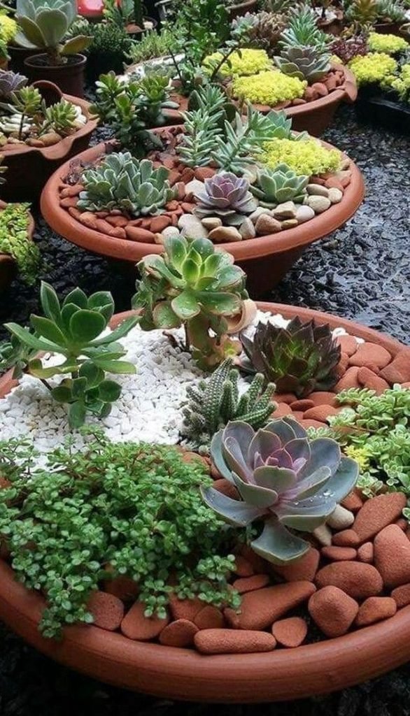 spunto creativo su come arredare il balcone in primavera con le ciotole di cactus