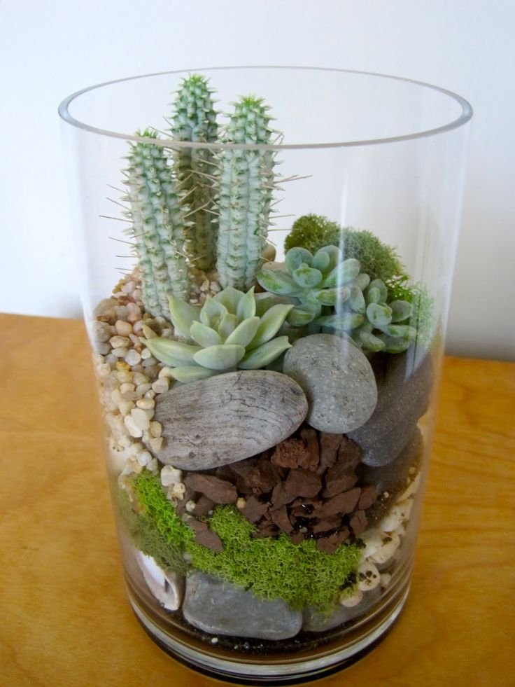spunto creativo su come arredare il balcone in primavera con le composizioni di cactus