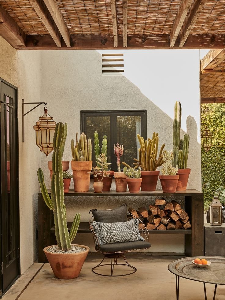 spunti creativi su come arredare il balcone in primavera con i cactus
