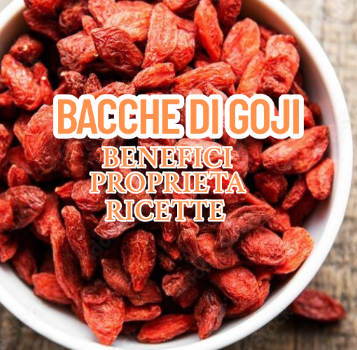 BACCHE DI GOJI