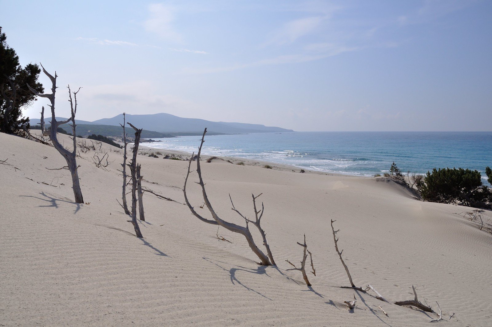 spiagge del Sud della Sardegna is arenas biancas