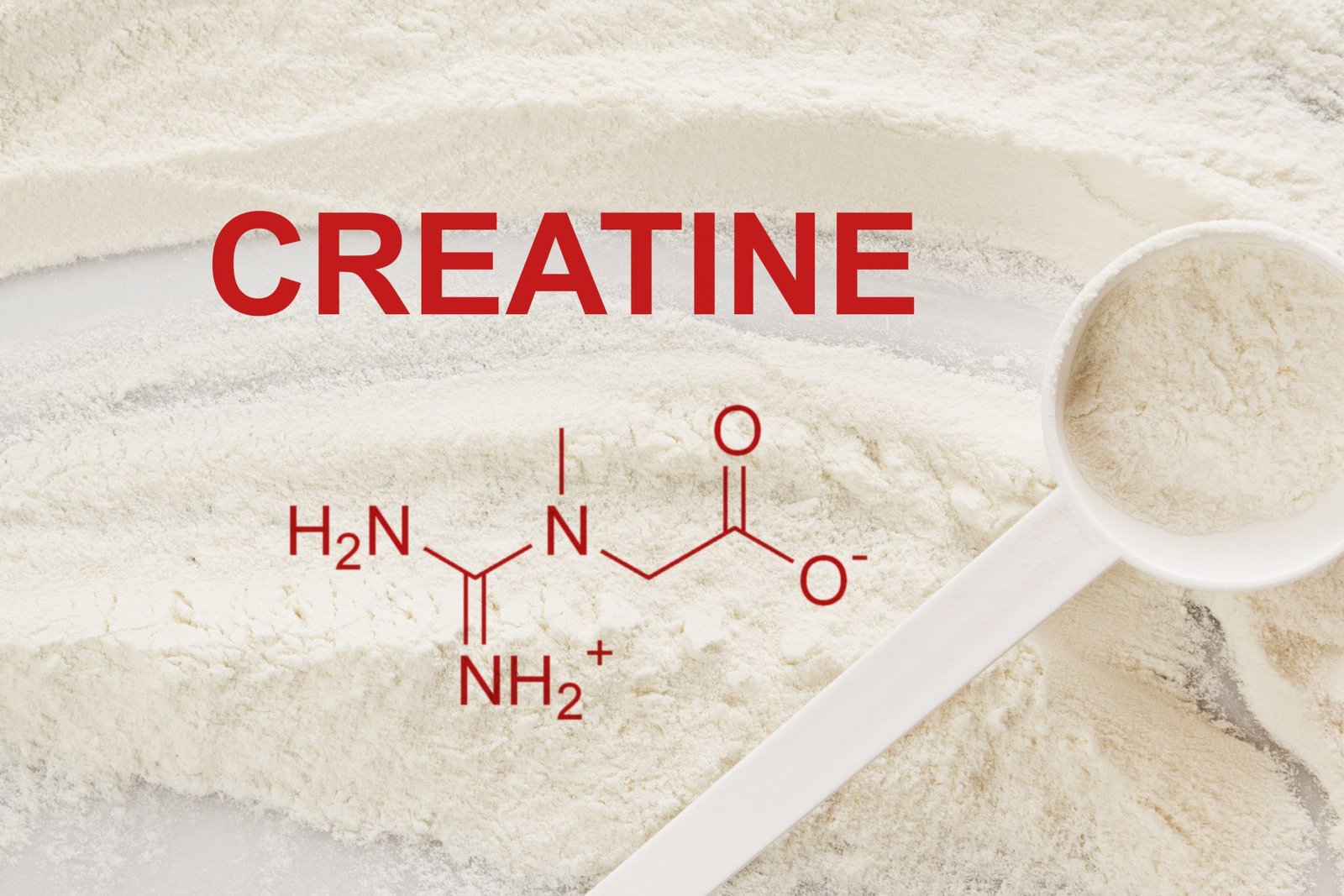 INFO GRAFICA SU CREATINA COSA è FORMULA CHIMICA