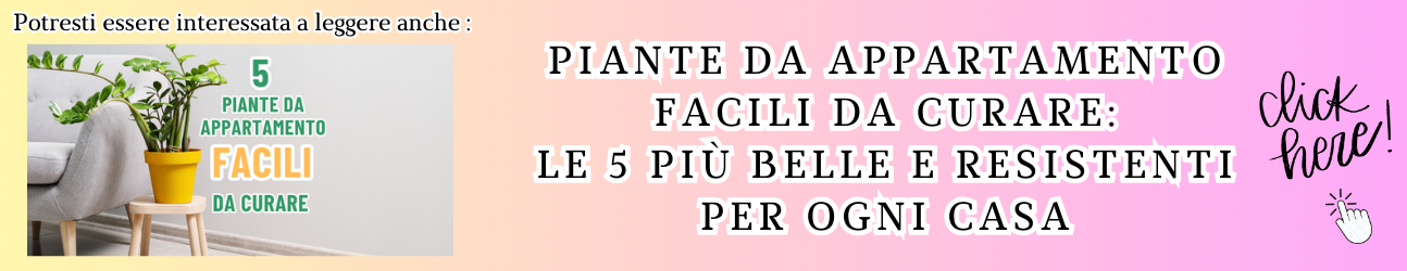 banner articolo consigliato 