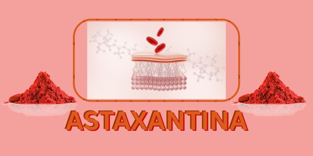 ASTAXANTINA A COSA SERVE- SCHEDA INFORMATIìVA CON POLVERE DI ASTAXANTINA E IMMAGINE DEGLI STRATI DELLA PELLE E DELLE COLECOLE CHIMICHE 