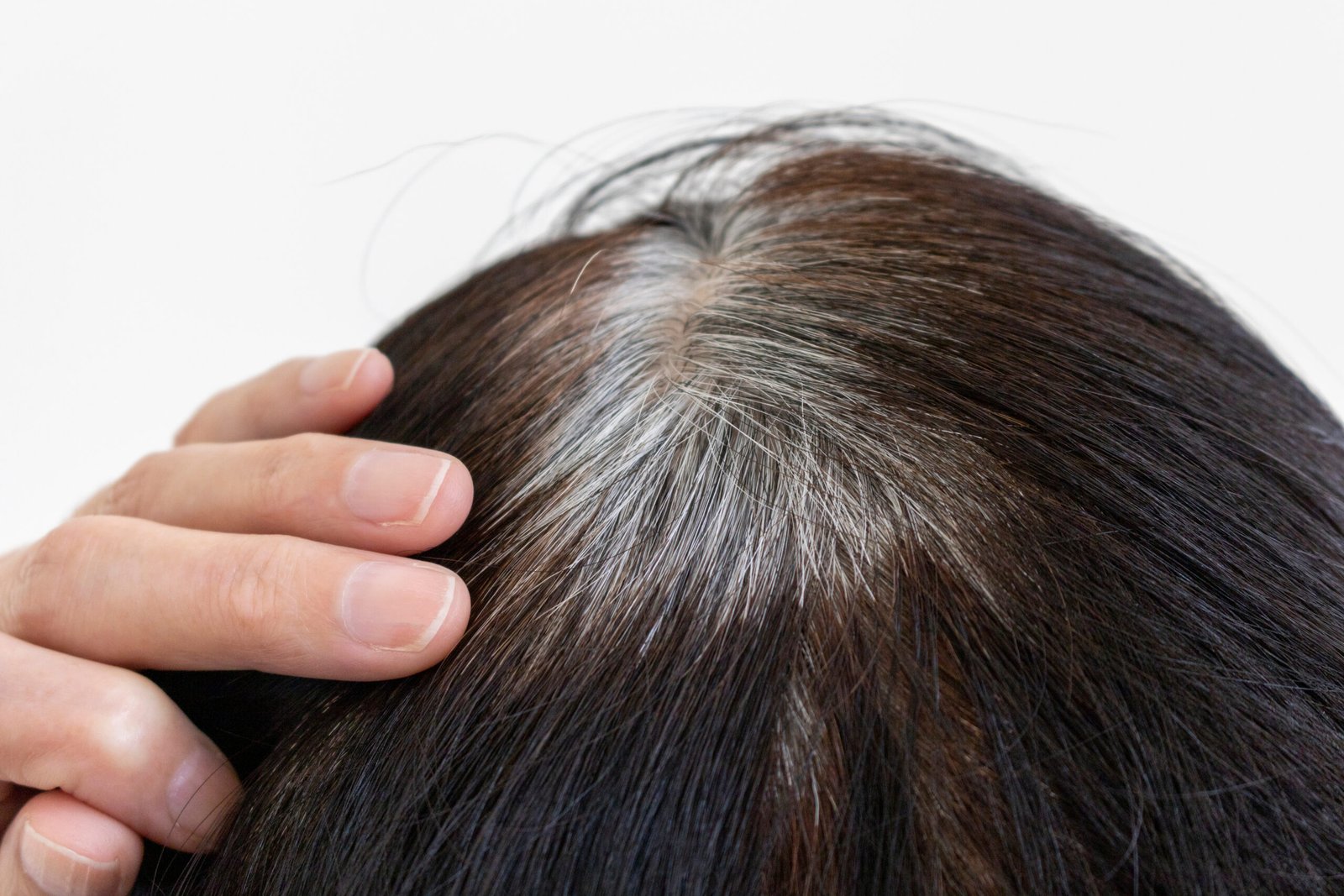 capelli bianchi ricrescita in primo piano - concetto di Come coprire i capelli bianchi con la tinta demi permanente