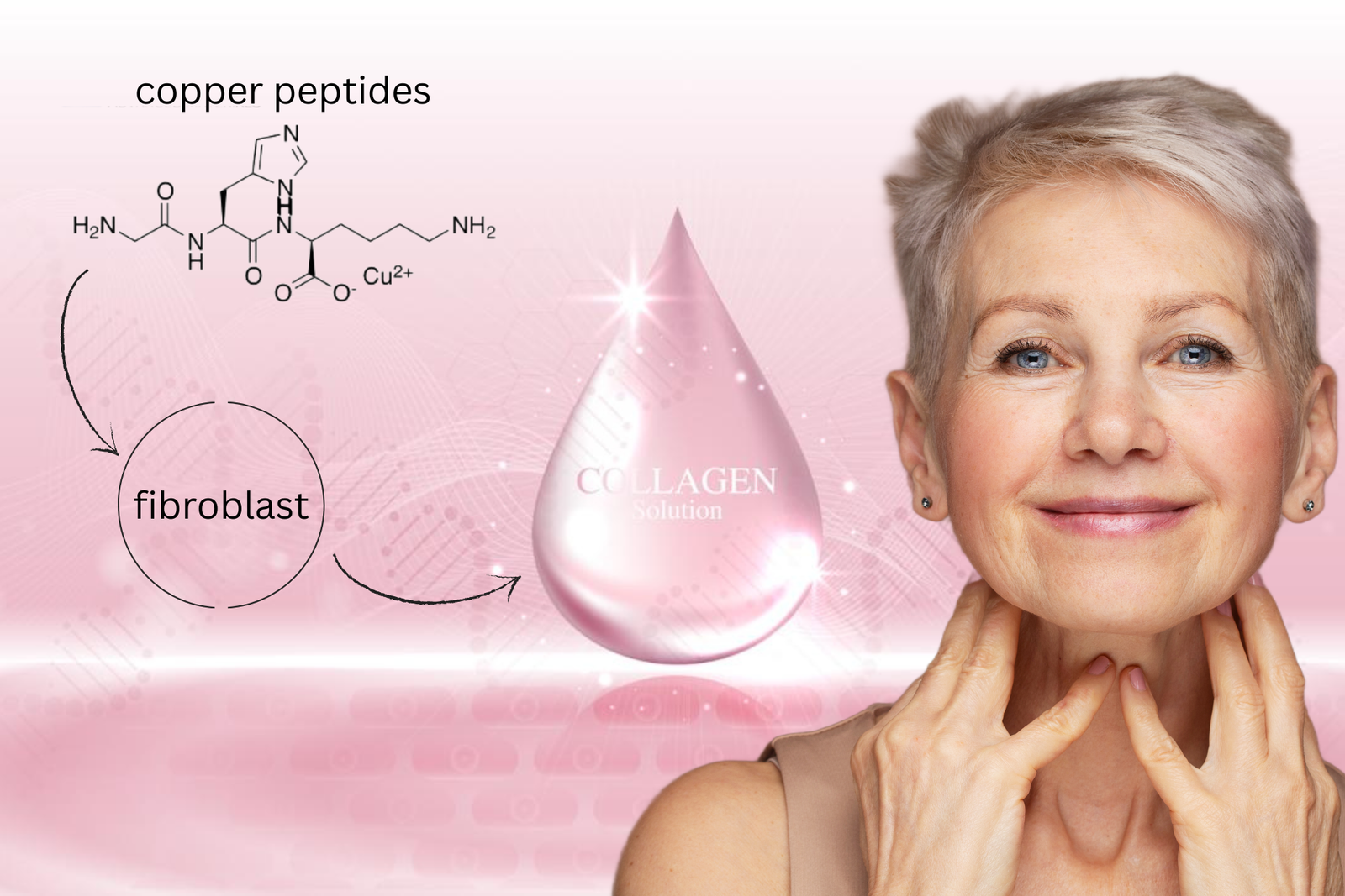 bella donna matura si tocca collo su sfondo rosa con infografica della azione dei peptidi di rame, fibroblasti e collagene - concetto di skincare antiage