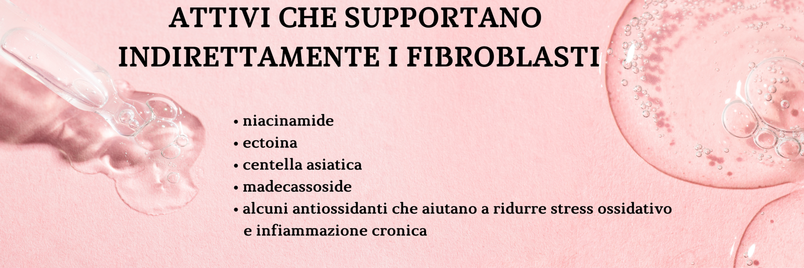 infografica sugli attivi contenuti nei sieri al collagene:: attivi che suppportano indirettamente i fibroblasti