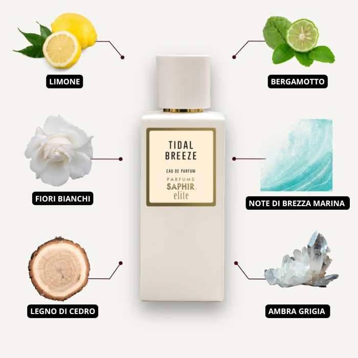 Profumi equivalenti di nicchia: Saphir Elite TIDAL BREEZE