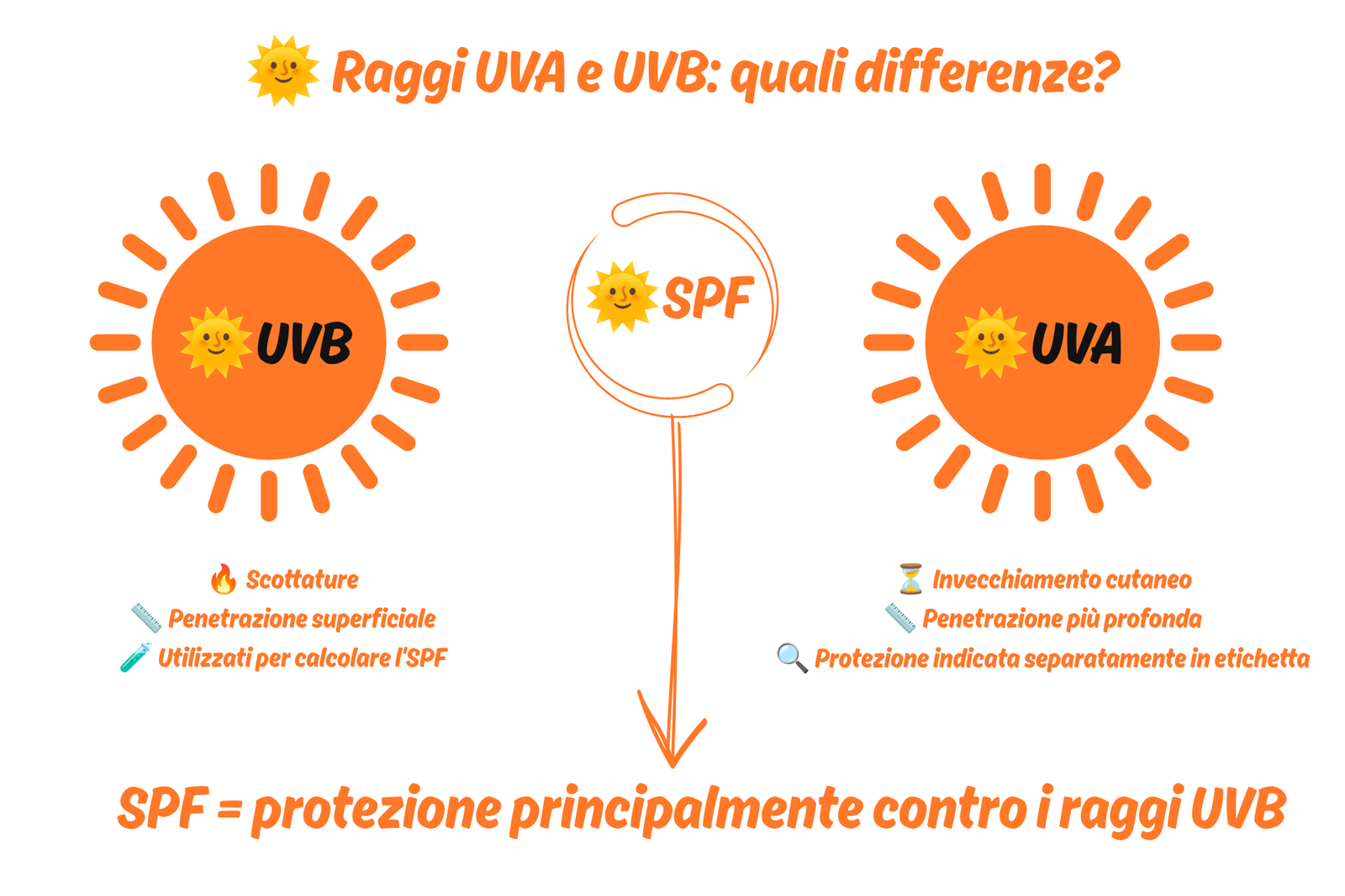 info grafica che spiega azione di raggi uva e raggi uvb e come funzione il fattore di protezione solare 