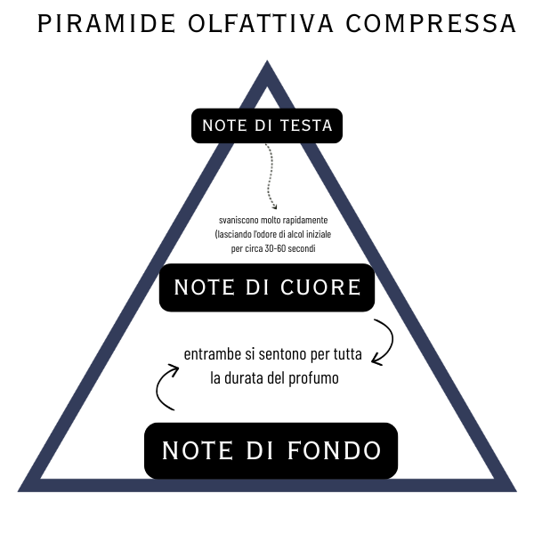 PROFUMI EQUIVALENTI LIDL LA PIRAMIDE OLFATTIVA COMPRESSA DEI PROFUMI