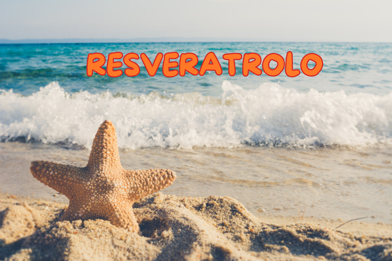 IMMAGINE DI SPIAGGIA E RISACCA DEL MARE CON STELLA MARINA SULLA SABBIA. SCRITTA SULLO SFONDO RESVERTROLO. concetto pelle al sole, abbronzatura protezione solare SKINCARE ANTIAGE e Integratori contro il fotoaging
