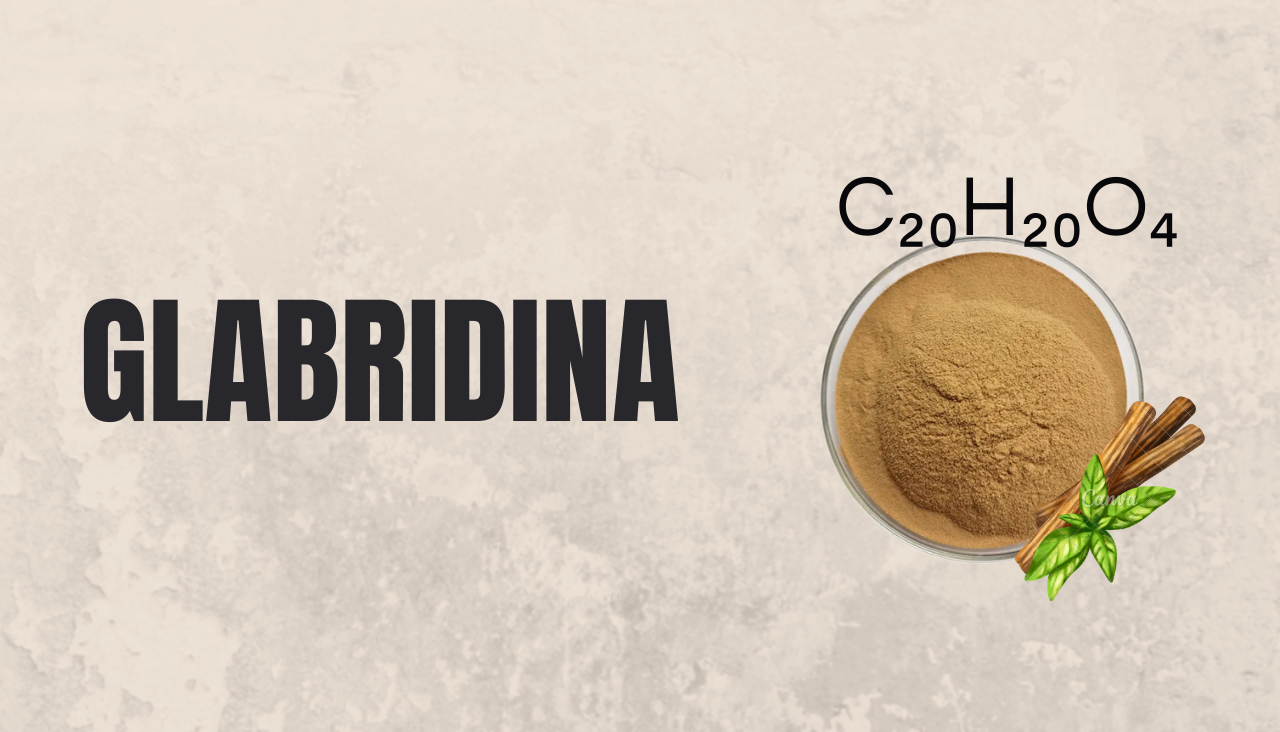 -CONCETTO Attivi antimacchia- INFO GRAFICA DELLA GLABRIDINA