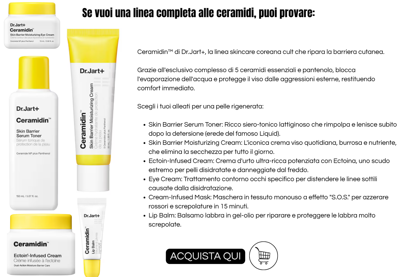 linea dr jart ceramidin per la protezione della barriera cutanea - info grafica