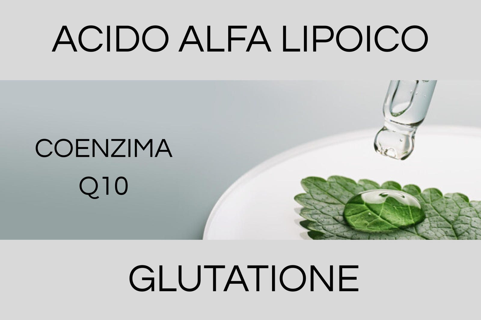 CONCETTO Integratori antiossidanti e antiage. IMMAGINE ILLUSTRATIVA DI ALCUNI INGREDIENTI UTILI OSSIA ACIDO ALFA LIPOICO, COENZIMA Q10 E GLUTATIONE 